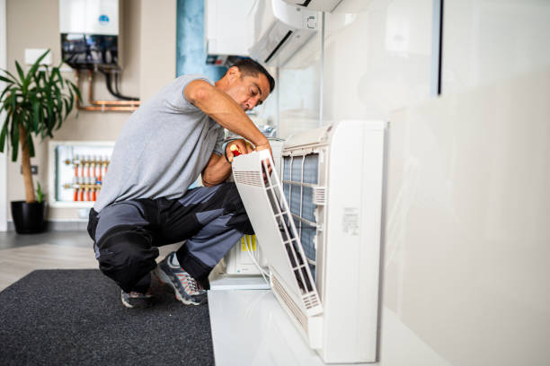 Best Mold and Mildew Removal from Ducts in Second Mesa, AZ