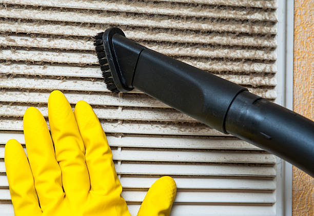 Best Air Duct Sanitization & Disinfection in Second Mesa, AZ